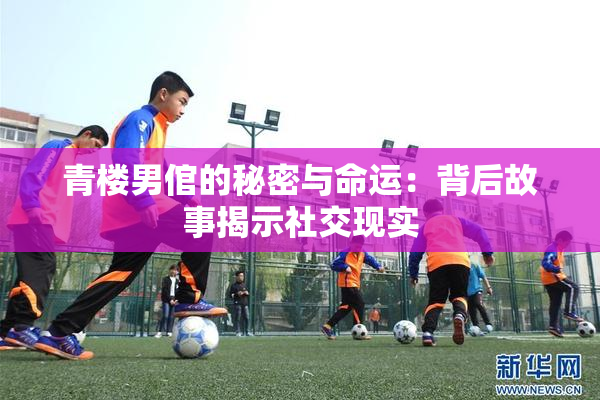 青楼男倌的秘密与命运：背后故事揭示社交现实
