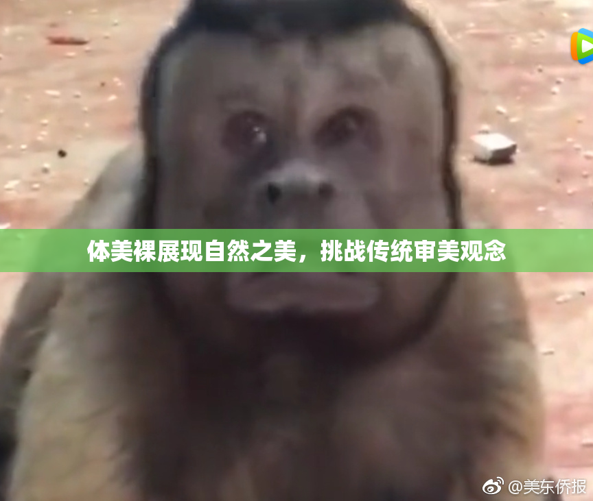 体美裸展现自然之美，挑战传统审美观念