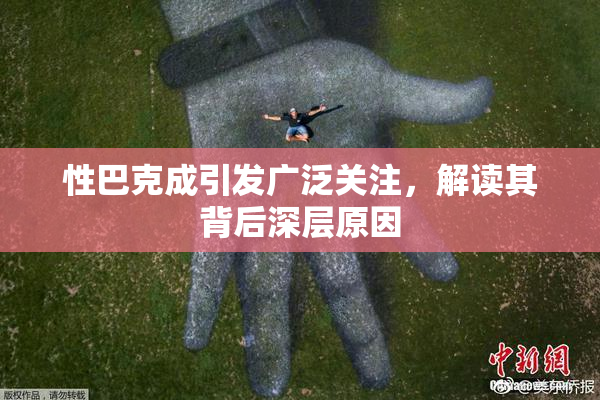 性巴克成引发广泛关注，解读其背后深层原因