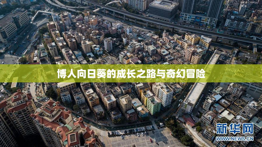 博人向日葵的成长之路与奇幻冒险