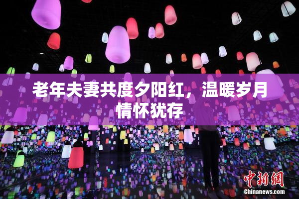 老年夫妻共度夕阳红，温暖岁月情怀犹存