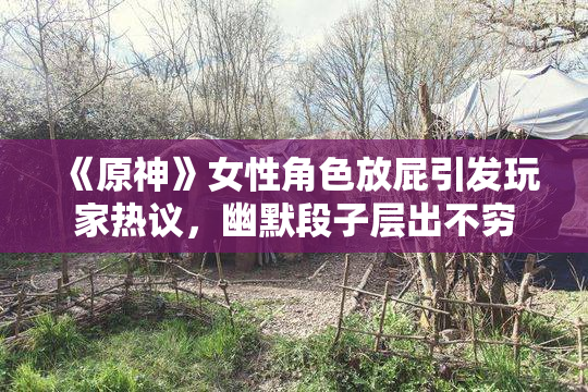 《原神》女性角色放屁引发玩家热议，幽默段子层出不穷