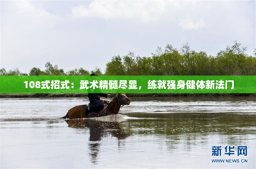 108式招式：武术精髓尽显，练就强身健体新法门