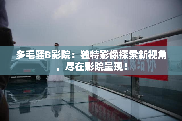 多毛骚B影院：独特影像探索新视角，尽在影院呈现！