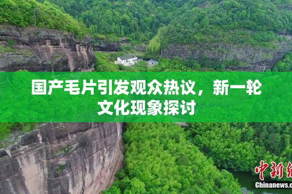 国产毛片引发观众热议，新一轮文化现象探讨