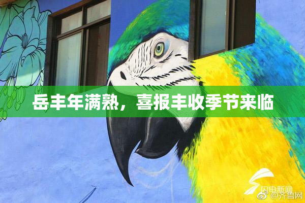 岳丰年满熟，喜报丰收季节来临
