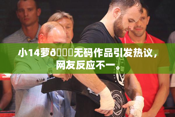 小14萝🔞无码作品引发热议，网友反应不一。