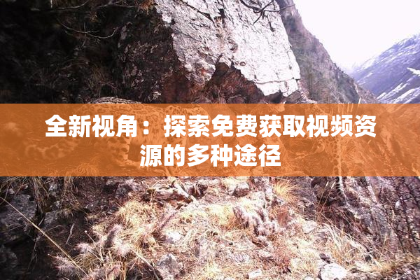 全新视角：探索免费获取视频资源的多种途径