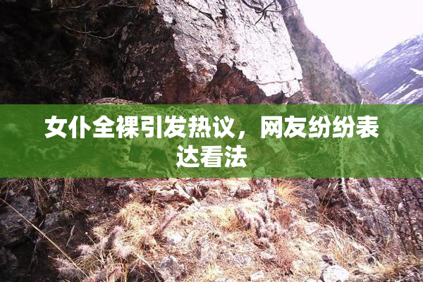 女仆全裸引发热议，网友纷纷表达看法