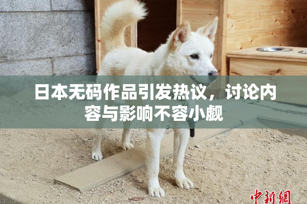日本无码作品引发热议，讨论内容与影响不容小觑