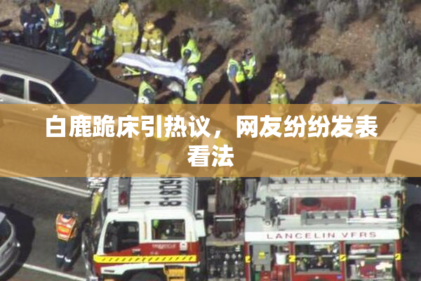 白鹿跪床引热议，网友纷纷发表看法