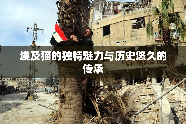 埃及猫的独特魅力与历史悠久的传承