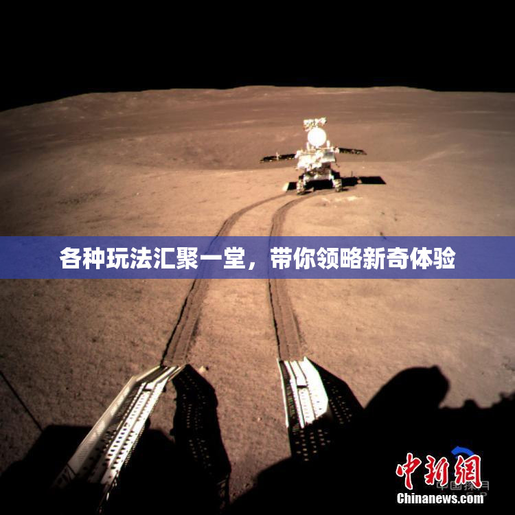 各种玩法汇聚一堂，带你领略新奇体验