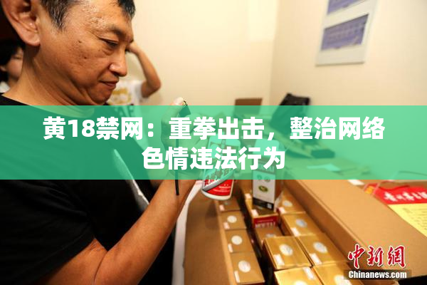 黄18禁网：重拳出击，整治网络色情违法行为