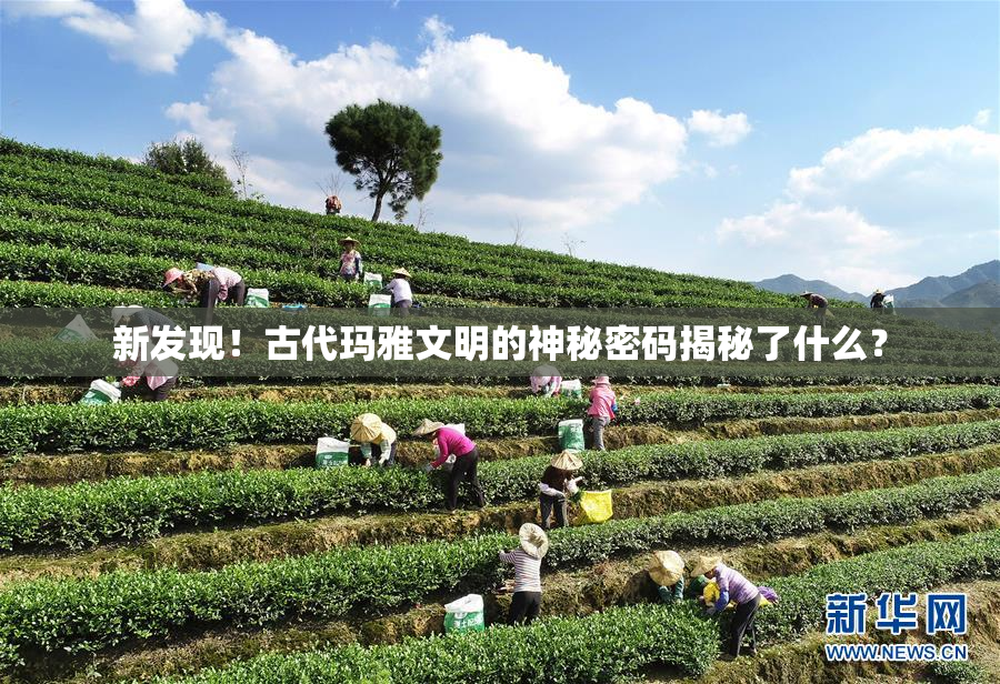 新发现！古代玛雅文明的神秘密码揭秘了什么？