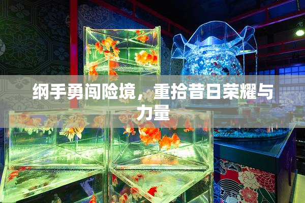 纲手勇闯险境，重拾昔日荣耀与力量