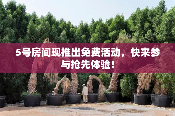 5号房间现推出免费活动，快来参与抢先体验！