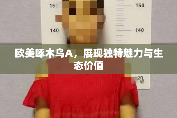欧美啄木乌A，展现独特魅力与生态价值