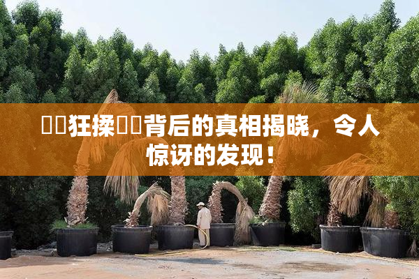 ❌‌狂揉❌‌背后的真相揭晓，令人惊讶的发现！
