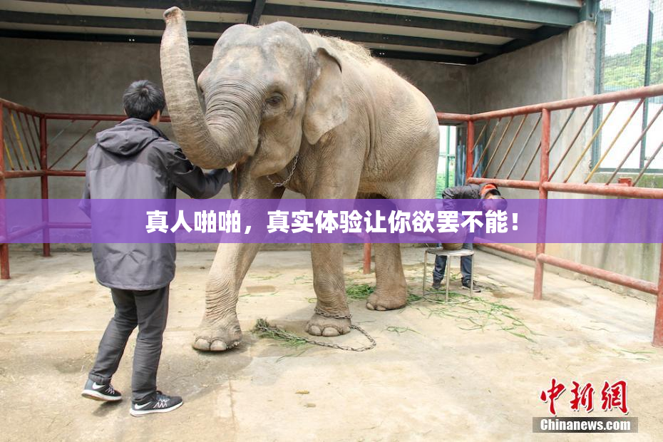 真人啪啪，真实体验让你欲罢不能！