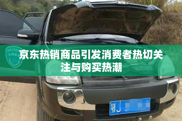 京东热销商品引发消费者热切关注与购买热潮