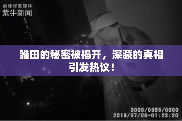 雏田的秘密被揭开，深藏的真相引发热议！