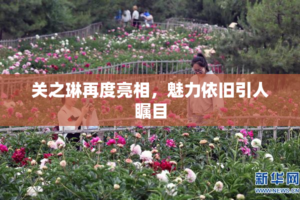 关之琳再度亮相，魅力依旧引人瞩目