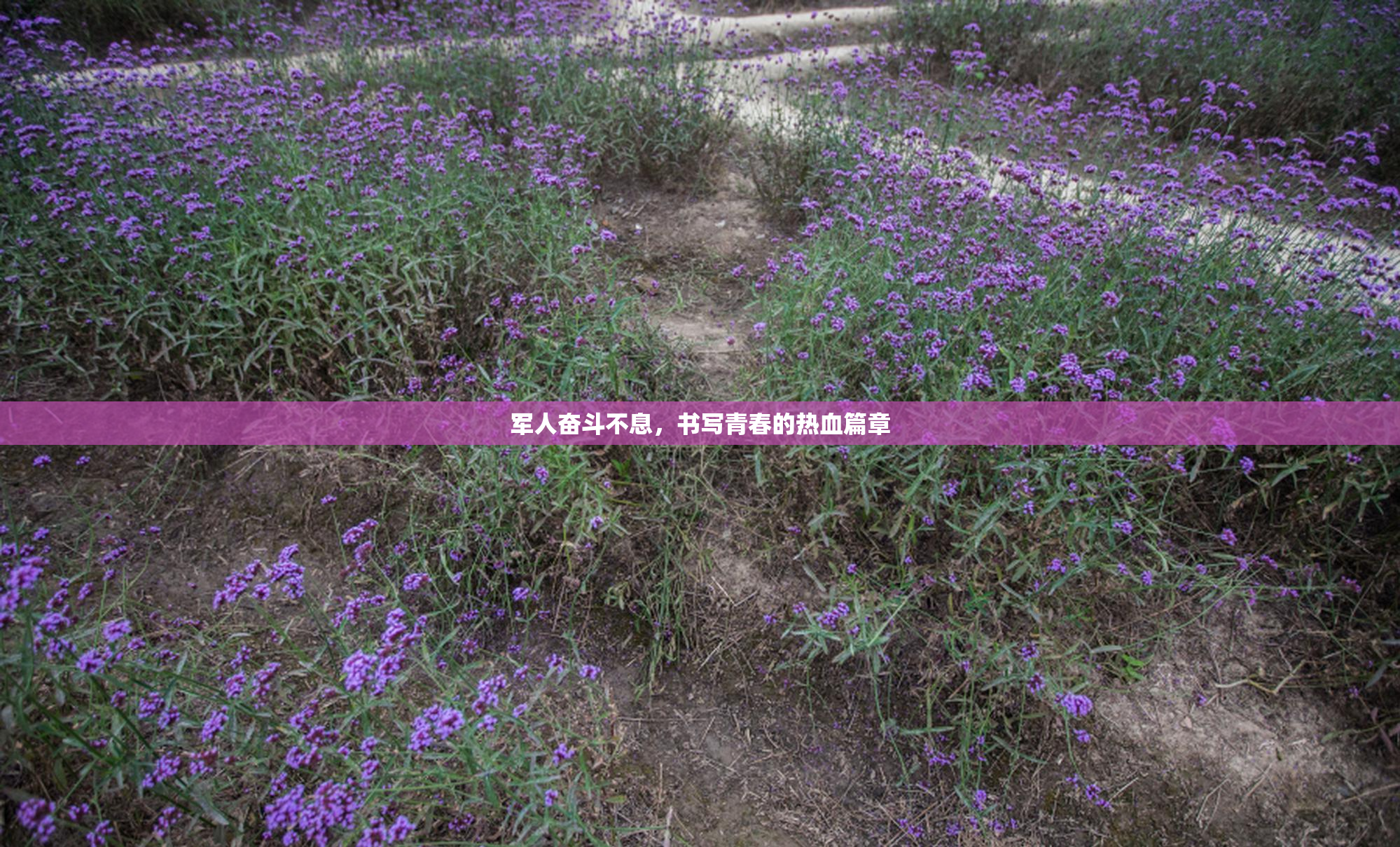 军人奋斗不息，书写青春的热血篇章
