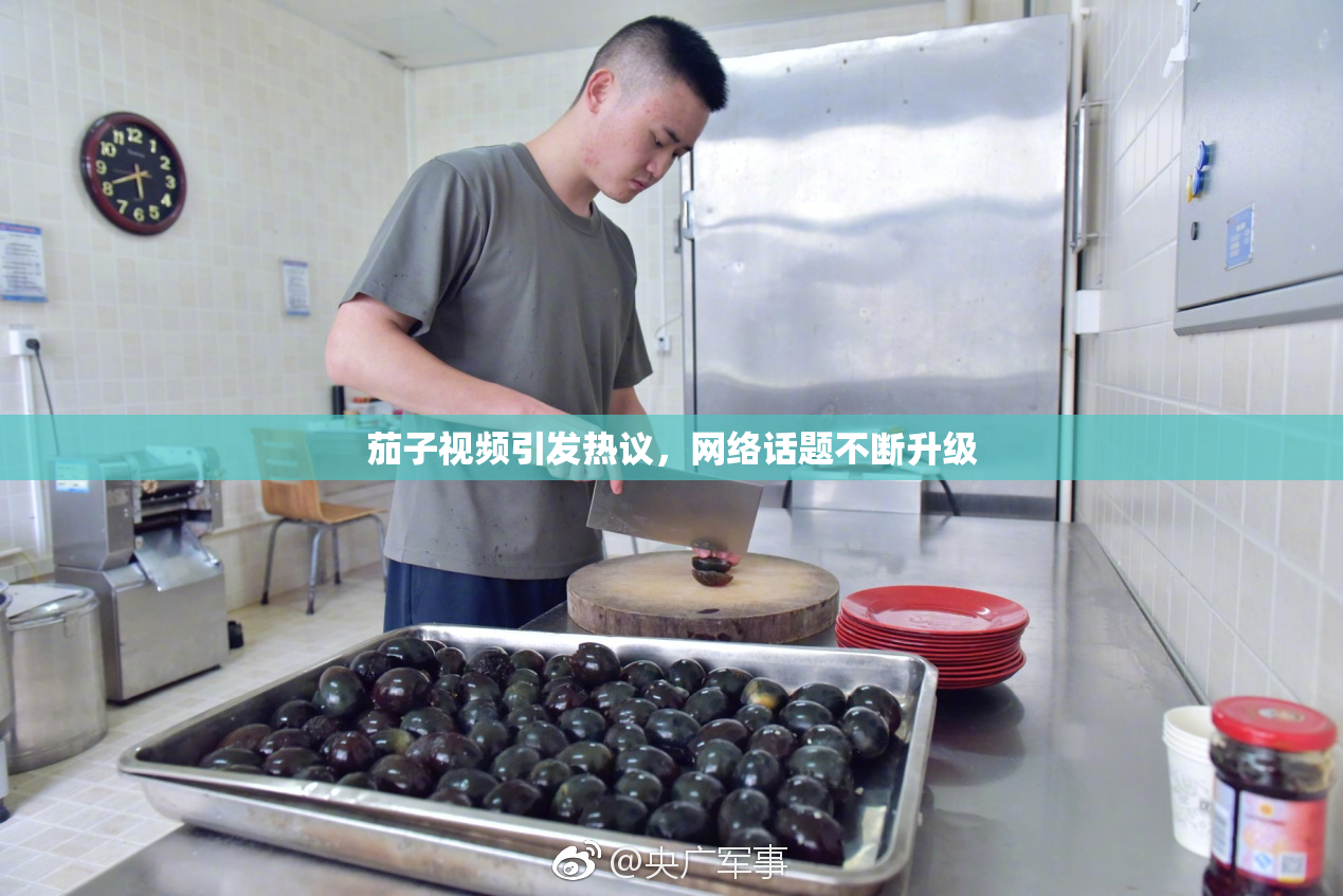 茄子视频引发热议，网络话题不断升级