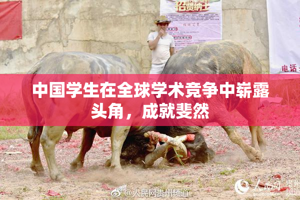 中国学生在全球学术竞争中崭露头角，成就斐然