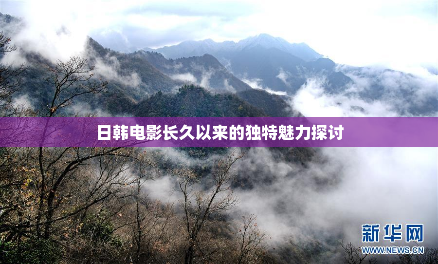 日韩电影长久以来的独特魅力探讨