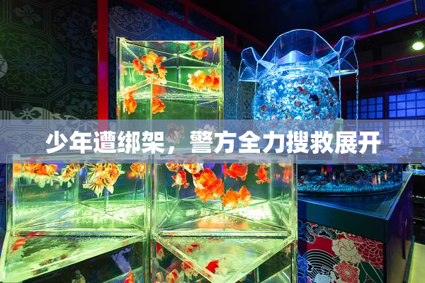 少年遭绑架，警方全力搜救展开