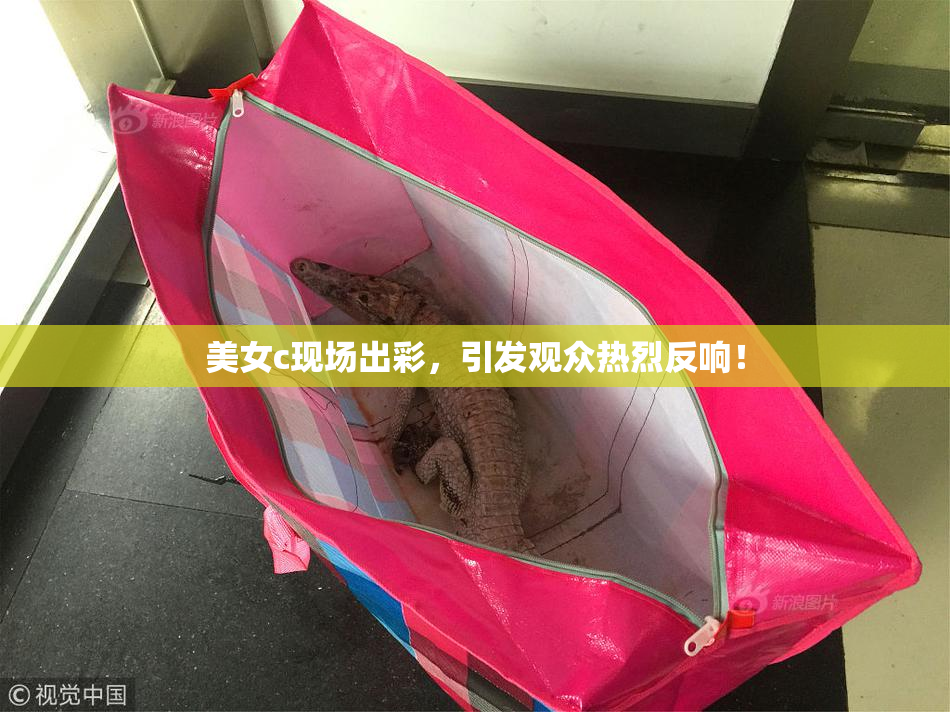 美女c现场出彩，引发观众热烈反响！