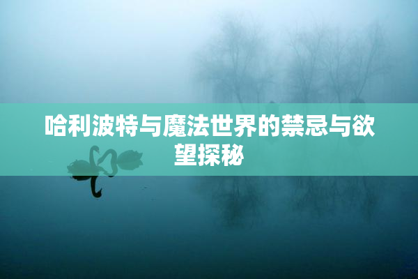 哈利波特与魔法世界的禁忌与欲望探秘