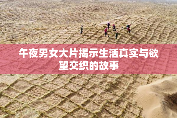 午夜男女大片揭示生活真实与欲望交织的故事