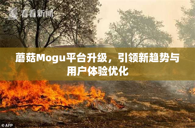 蘑菇Mogu平台升级，引领新趋势与用户体验优化