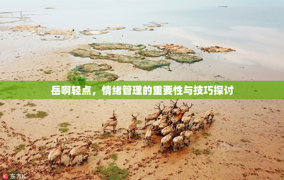 岳啊轻点，情绪管理的重要性与技巧探讨