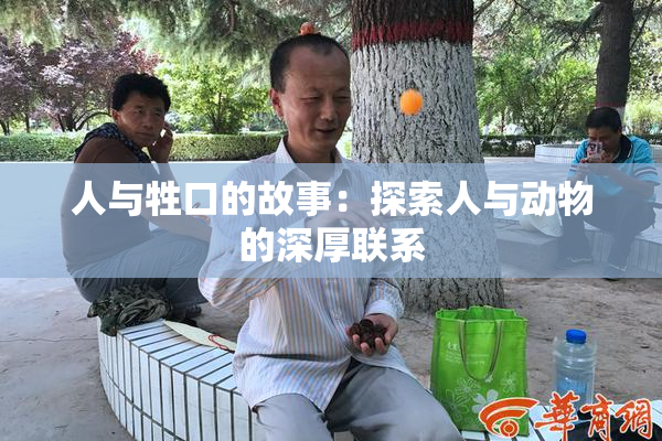 人与牲口的故事：探索人与动物的深厚联系