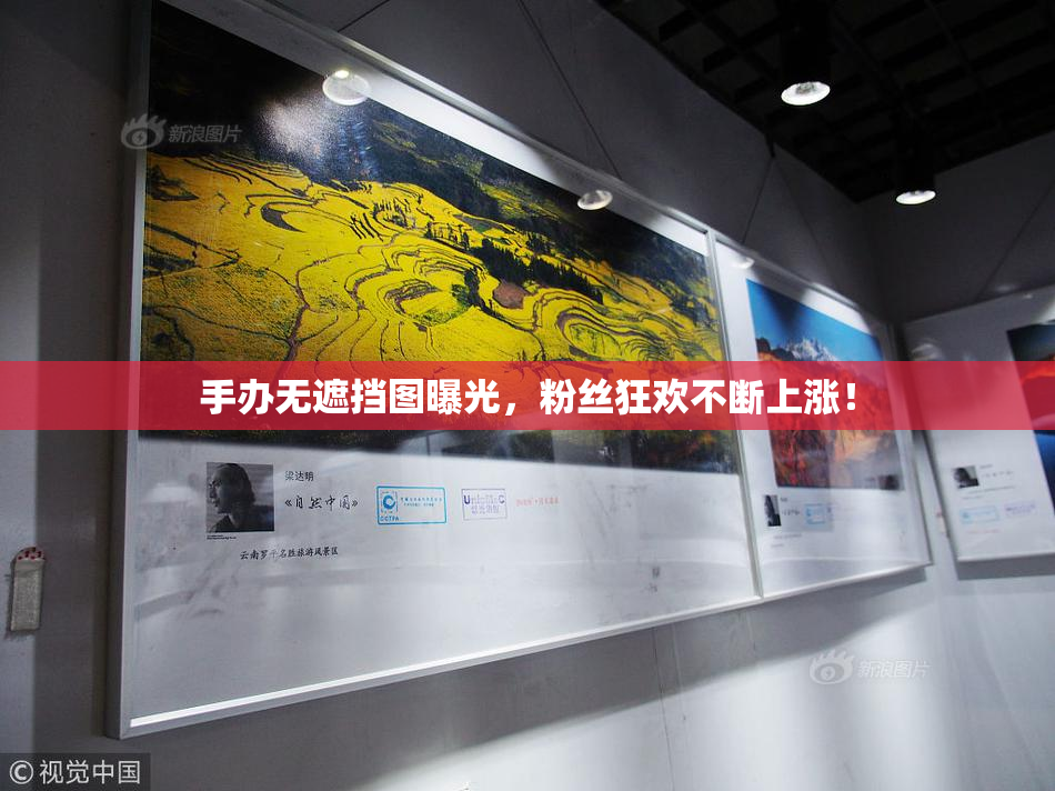 手办无遮挡图曝光，粉丝狂欢不断上涨！