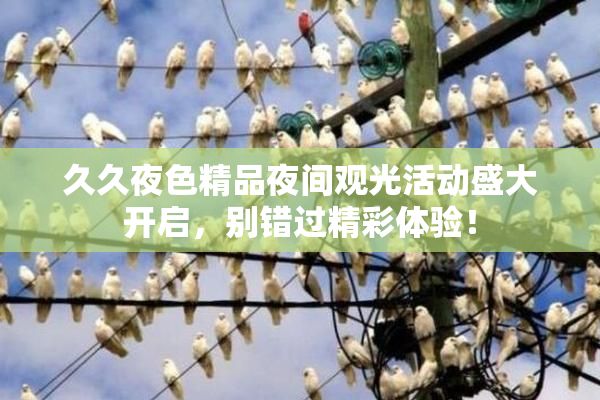 久久夜色精品夜间观光活动盛大开启，别错过精彩体验！