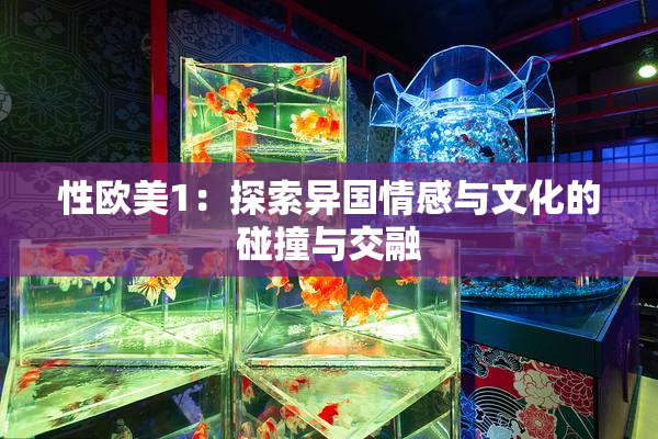 性欧美1：探索异国情感与文化的碰撞与交融