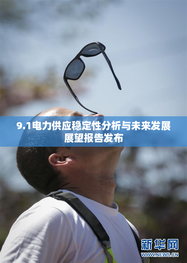 9.1电力供应稳定性分析与未来发展展望报告发布