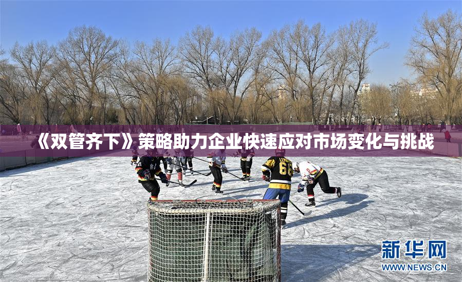 《双管齐下》策略助力企业快速应对市场变化与挑战