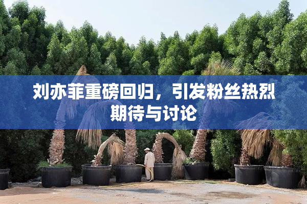 刘亦菲重磅回归，引发粉丝热烈期待与讨论