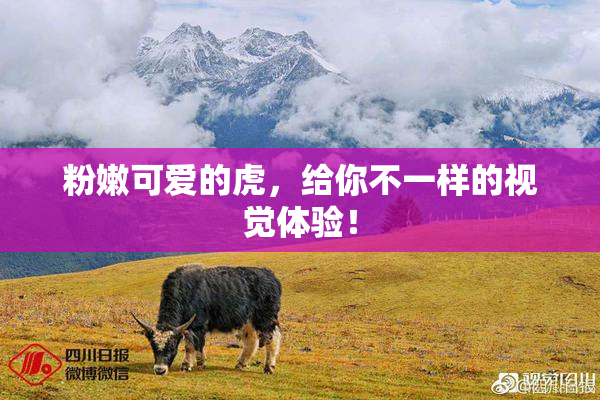 粉嫩可爱的虎，给你不一样的视觉体验！