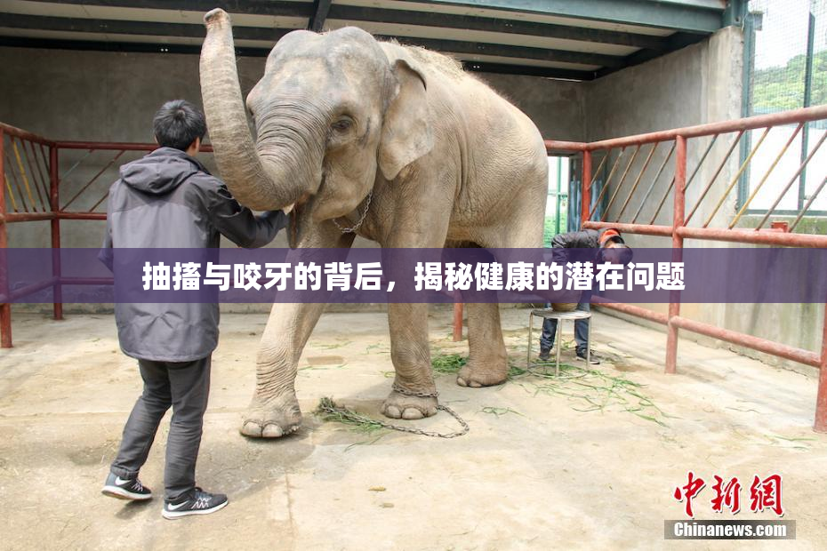 抽搐与咬牙的背后，揭秘健康的潜在问题
