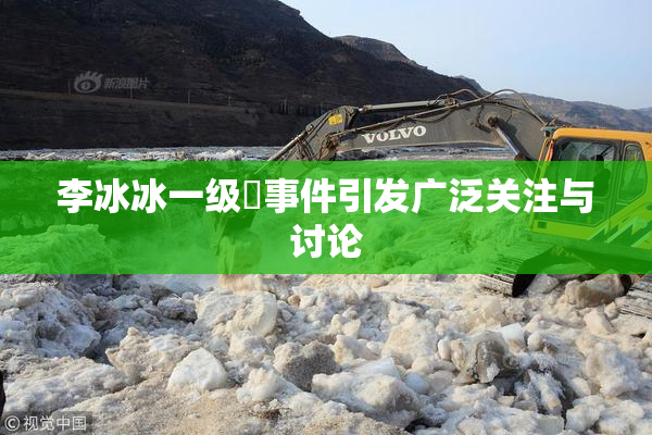李冰冰一级婬事件引发广泛关注与讨论