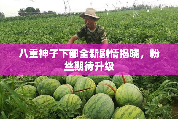 八重神子下部全新剧情揭晓，粉丝期待升级
