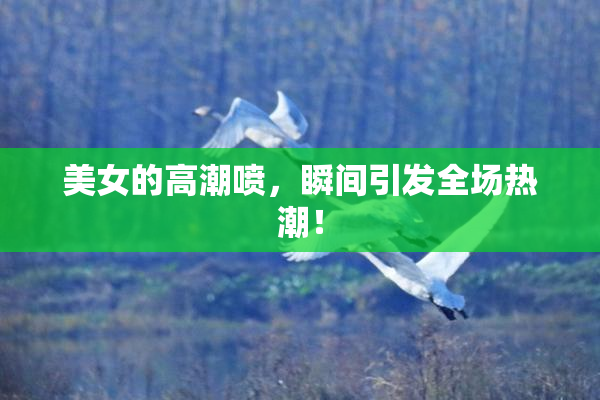 美女的高潮喷，瞬间引发全场热潮！