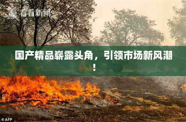 国产精品崭露头角，引领市场新风潮！